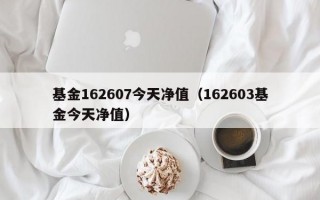 基金162607今天净值（162603基金今天净值）