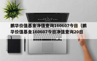 鹏华价值基金净值查询160607今日（鹏华价值基金160607今日净值查询20日）