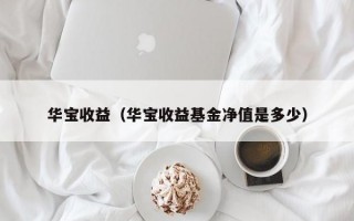 华宝收益（华宝收益基金净值是多少）