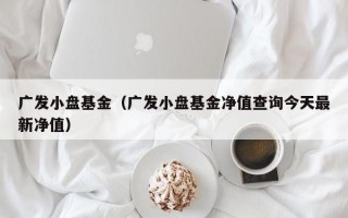 广发小盘基金（广发小盘基金净值查询今天最新净值）