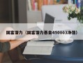 国富潜力（国富潜力基金450003净值）