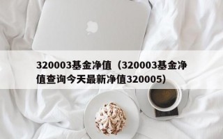 320003基金净值（320003基金净值查询今天最新净值320005）