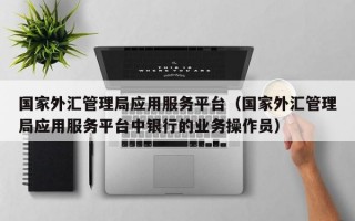 国家外汇管理局应用服务平台（国家外汇管理局应用服务平台中银行的业务操作员）