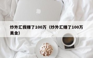 炒外汇我赚了100万（炒外汇赚了100万美金）