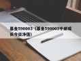 基金590003（基金590003中邮成长今日净值）