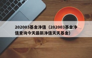 202003基金净值（202003基金净值查询今天最新净值天天基金）