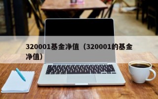 320001基金净值（320001的基金净值）