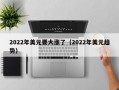 2022年美元要大涨了（2022年美元趋势）