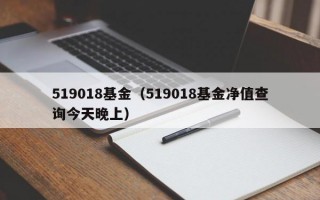 519018基金（519018基金净值查询今天晚上）