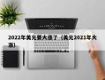 2022年美元要大涨了（美元2021年大涨）