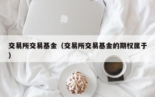 交易所交易基金（交易所交易基金的期权属于）