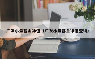 广发小盘基金净值（广发小盘基金净值查询）