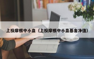 上投摩根中小盘（上投摩根中小盘基金净值）