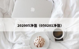 202005净值（050201净值）