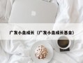 广发小盘成长（广发小盘成长基金）