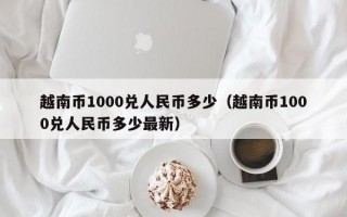 越南币1000兑人民币多少（越南币1000兑人民币多少最新）