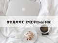 什么是炒外汇（外汇平台app下载）