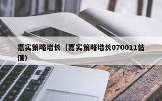 嘉实策略增长（嘉实策略增长070011估值）