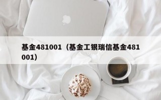 基金481001（基金工银瑞信基金481001）