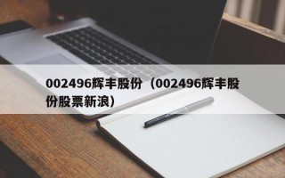 002496辉丰股份（002496辉丰股份股票新浪）