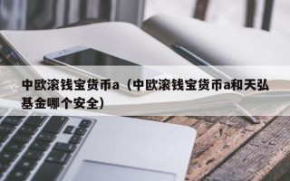 中欧滚钱宝货币a（中欧滚钱宝货币a和天弘基金哪个安全）