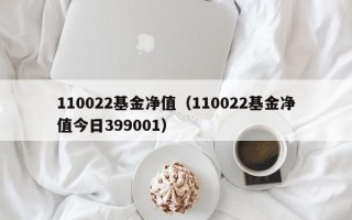 110022基金净值（110022基金净值今日399001）