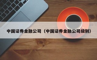 中国证券金融公司（中国证券金融公司级别）