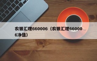 农银汇理660006（农银汇理660006净值）