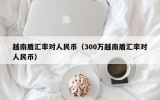 越南盾汇率对人民币（300万越南盾汇率对人民币）