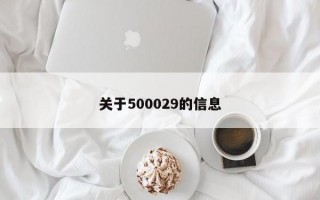 关于500029的信息